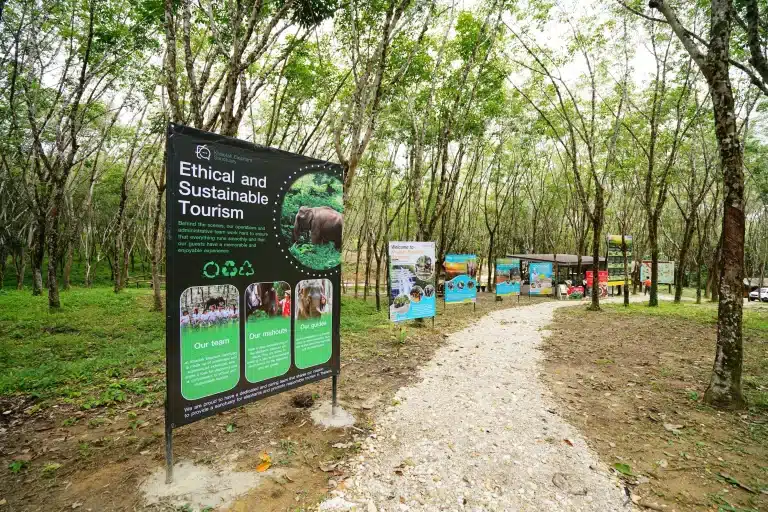 Entrance pathway lined with elephant conservation signs at Khaolak Elephant Sanctuary