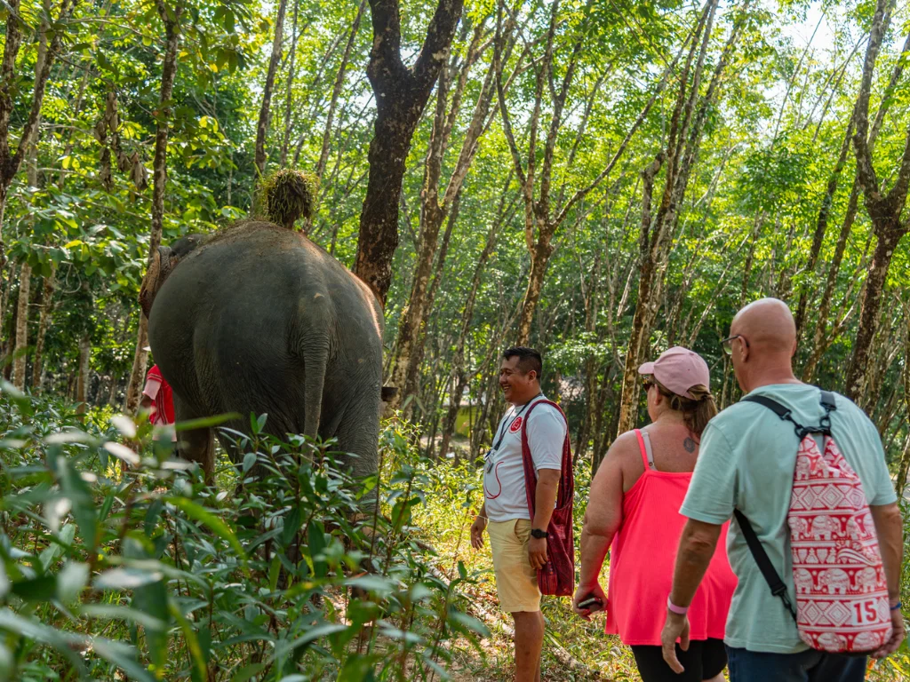Half Day Elephant Caretaker Program