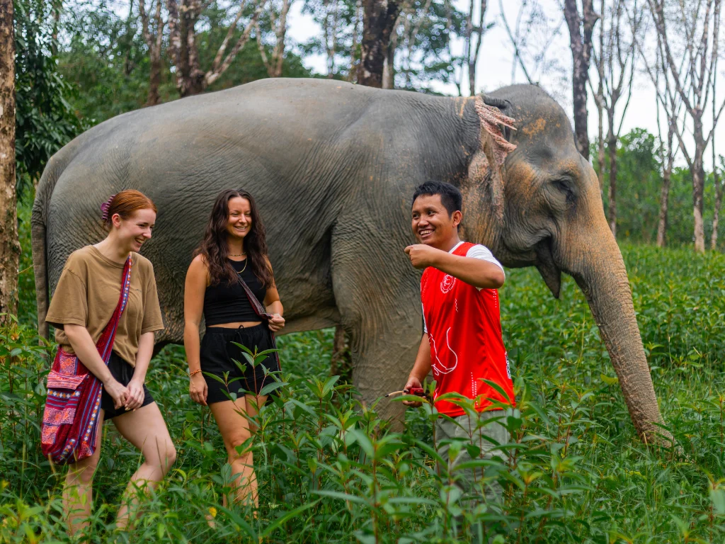 Khao Lak Elephant Sanctuary Guided Tour