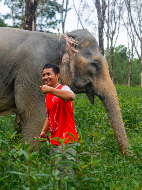 Khao Lak: 2-Hour Elephant Sanctuary Eco-Walk with Guided